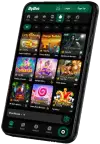 bvbx App
